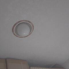 パルックボール100w形蛍光灯の画像