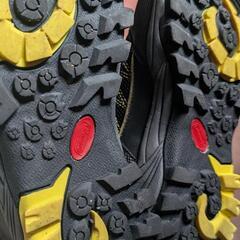Colemanシューズの画像