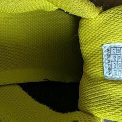 Colemanシューズの画像