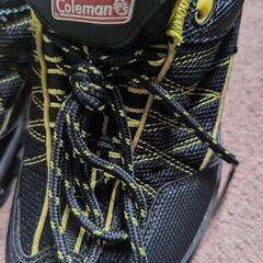Colemanシューズの画像