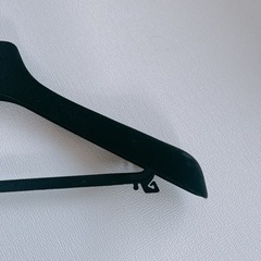 BALENCIAGA ハンガーの画像