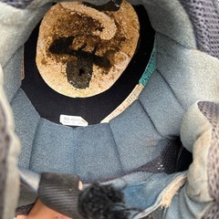 アライ　ＳＺαII ジャンク品　ベース品の画像