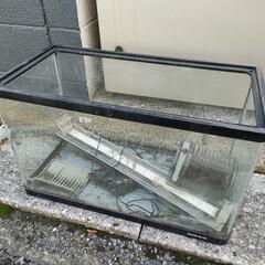 ６０センチ水槽
