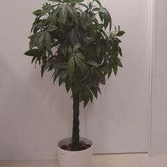 観葉植物(造花)