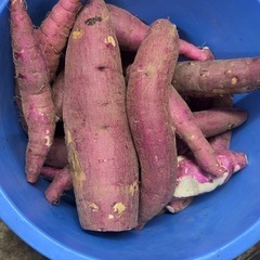 サツマイモ 紅はるか 西原村産  10kgの画像