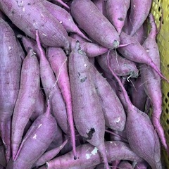 サツマイモ 紅はるか 西原村産  10kgの画像