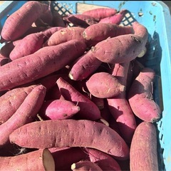 サツマイモ 紅はるか 西原村産  10kgの画像
