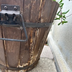 多肉植物整理の画像
