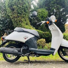 🛵HONDAトゥディー‼️大人気低燃費‼️町乗り絶好調‼️タイヤ溝あり‼️通勤通学配達‼️の画像