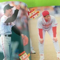 レトロ 1996年度 プロ野球 決定版 選手名鑑の画像