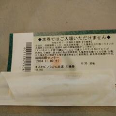 大相撲福岡場所本日　キッズシニアマスB席