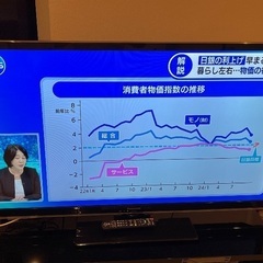 Panasonic VIERA TH-L50C60 液晶テレビ55V型