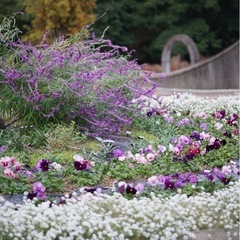 CANON FD 70-150mm 1:4.5  オールドレンズの画像