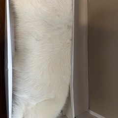 成人式ショール