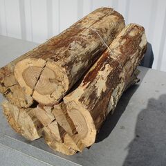 広葉樹の薪　5束