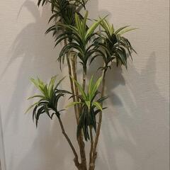 フェイクグリーン　ドラセナ　造花