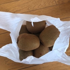 果物キュウイ