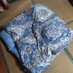 とても軽い羽毛布団　差し上げます