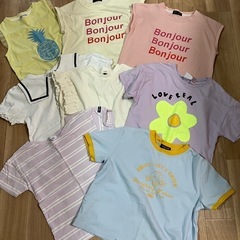 写真追加　12枚セット　120サイズ