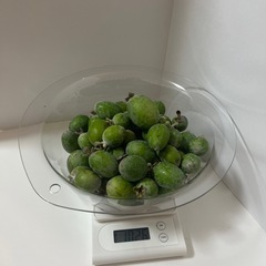 フェイジョア　約1kg