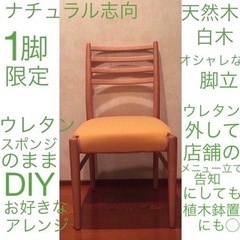 【期間限定 無料！】DIY自由にカスタム 美品 天然木 白木 椅...