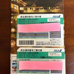 ANA株主優待券 