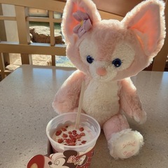 ディズニー行ける人🏰💭🎀