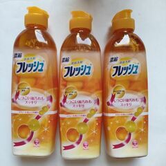 濃縮食器洗剤フレッシュ３本セット