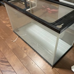 60センチ水槽　
