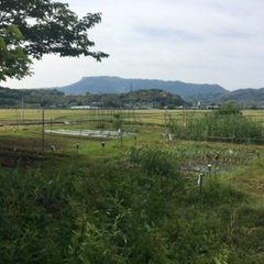 講師募集（学習塾、ヨガ、カルチャースクール等）の画像