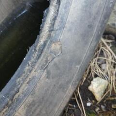 265-70-15 スタッドレス 4本の画像