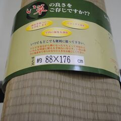 [985]い草シーツ IKEHIKO イケヒコ 88cm×176...