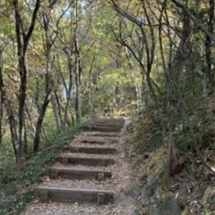 太田金山でハイキングしませんか😊