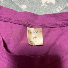 ちーむ　しゃちほこ　ライブＴシャツの画像