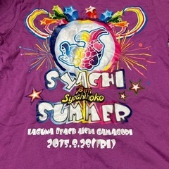 ちーむ　しゃちほこ　ライブＴシャツの画像
