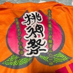 ももクロ　ライブＴシャツの画像