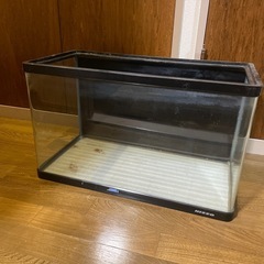 60cm水槽