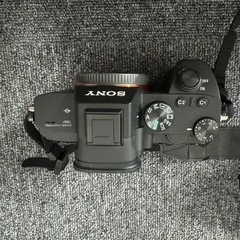 SONYα7Ⅲの画像