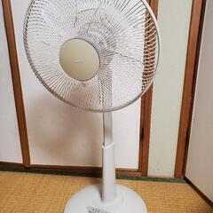 【商談中】SANYO 扇風機 EF-30CR2の画像