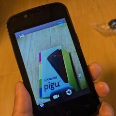 Polaroid piguの画像