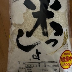 お米10kg +800g