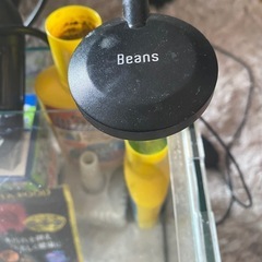 熱帯魚飼育水槽セットの画像