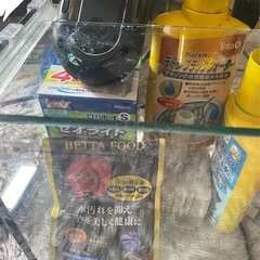 熱帯魚飼育水槽セットの画像