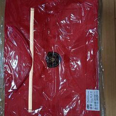 ☆新品未開封　桃源堂　レッスンバッグ203赤☆