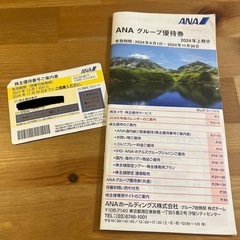 【ANA株主優待】(11/30まで)