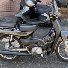 スーパーカブ100「タイカブ」HA06　