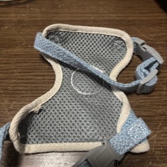 犬用リードの画像