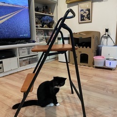 椅子になる折りたたみ脚立の画像