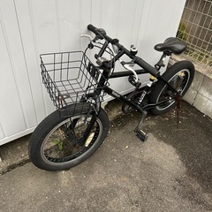太足自転車 ファットバイク 20インチ