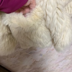 未使用品、リアルラビットファー　ジャケットの画像